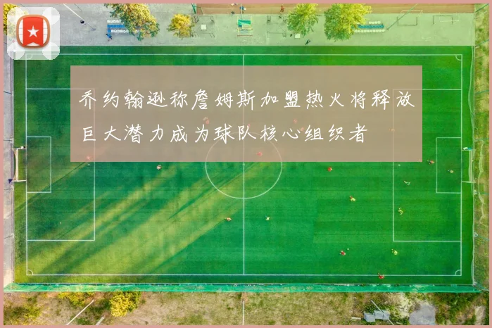 乔约翰逊称詹姆斯加盟热火将释放巨大潜力成为球队核心组织者